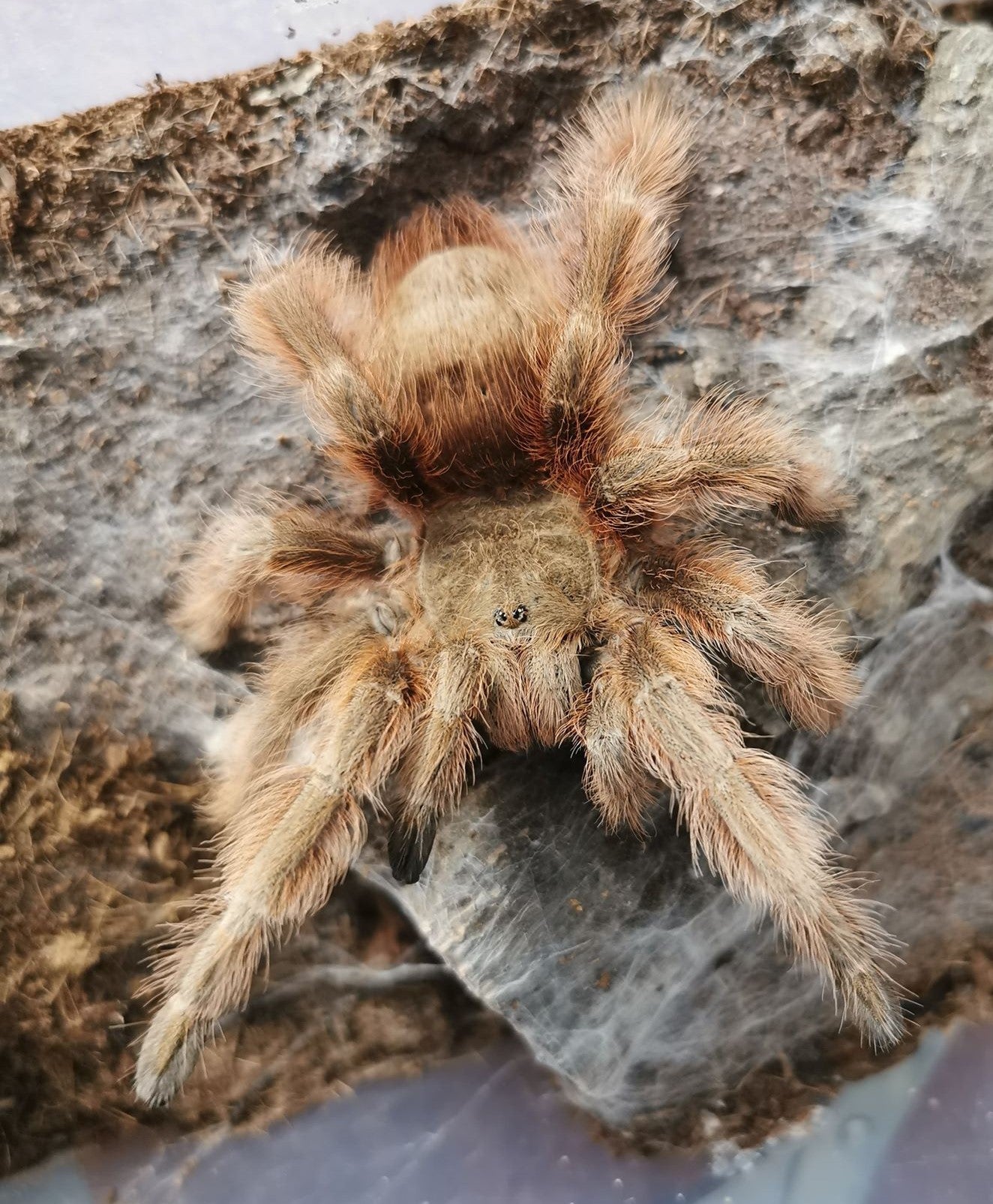 f9e5fe67f16ddb676a0771ec6c45ffd3