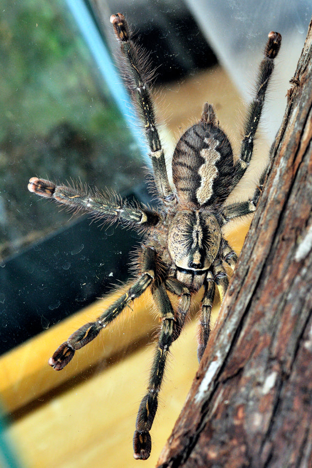 410e6f3bf678b00cd013e24e0d357269