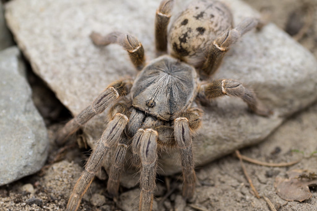 8d08ef642b3910ae5792b248c4c8f7c3