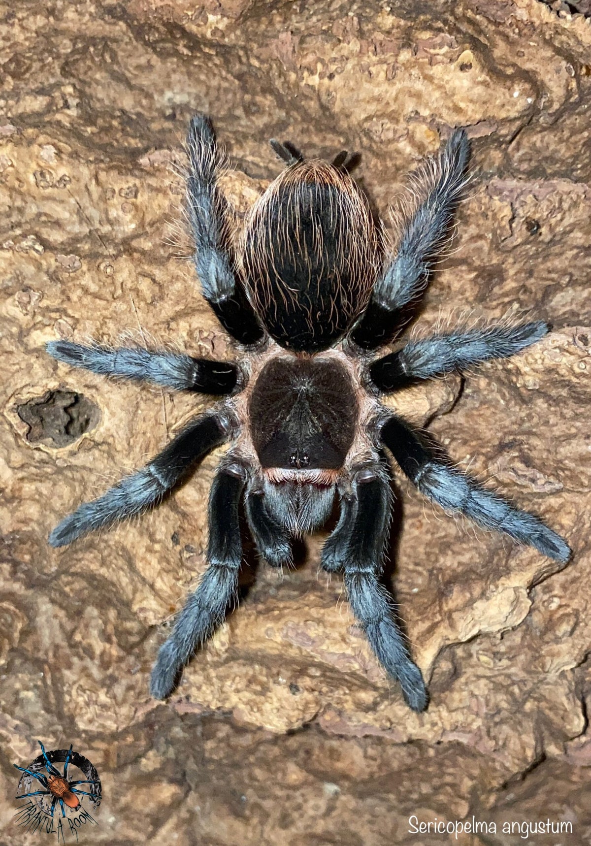 d663328c47271e6226b0bc35fc576d82