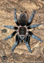 d663328c47271e6226b0bc35fc576d82