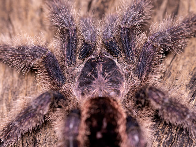 d1d498675deb613358189c03a412f5e4