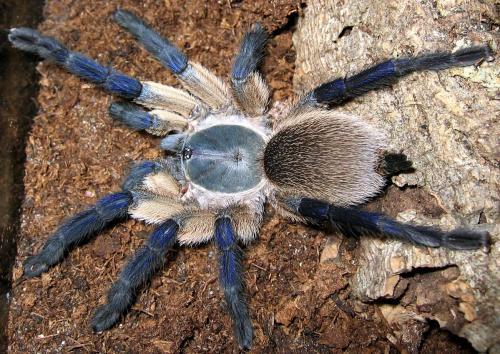 6aa8d19ab76fe7b1cfd4fecd46a2595c