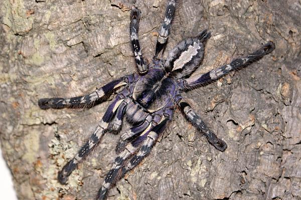 1304b67ee7c5b3ccee70efbf10b2b8cd