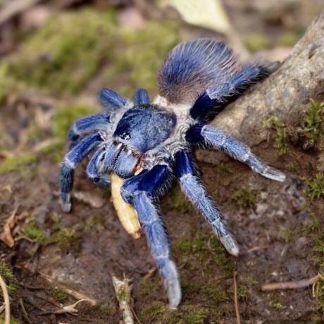 22b9892bac898f189040aa14cd94e1ee