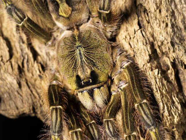 dfb618d4f73df5e070d51d65d884805d