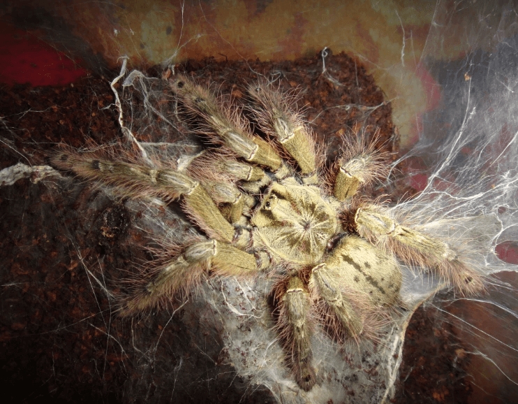 b399d61d3fcb9d21e97c4fc9a0dc40d7