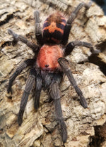 b1a18bd5372c5fb9b2f4f2e369f4e1cd