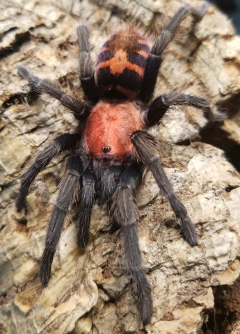 b1a18bd5372c5fb9b2f4f2e369f4e1cd