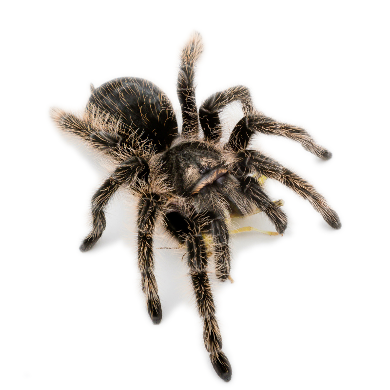 be5091b880423e408c9717390064e17f