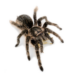 be5091b880423e408c9717390064e17f