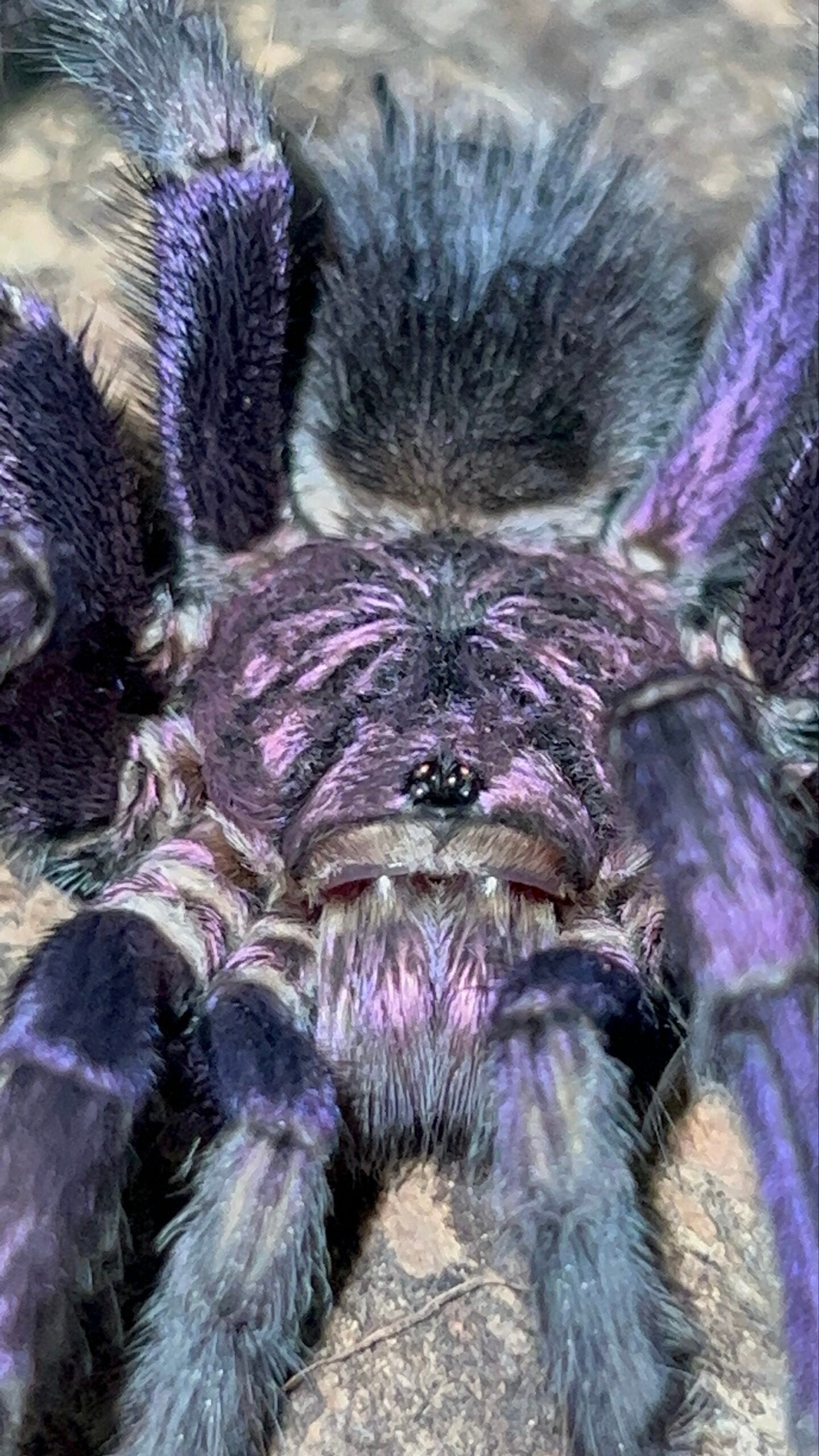 1ca3a29a266e48fa4293c22832475d5d