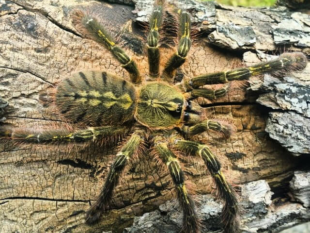 49b5b6efcd804ca4eba2c895963eb669