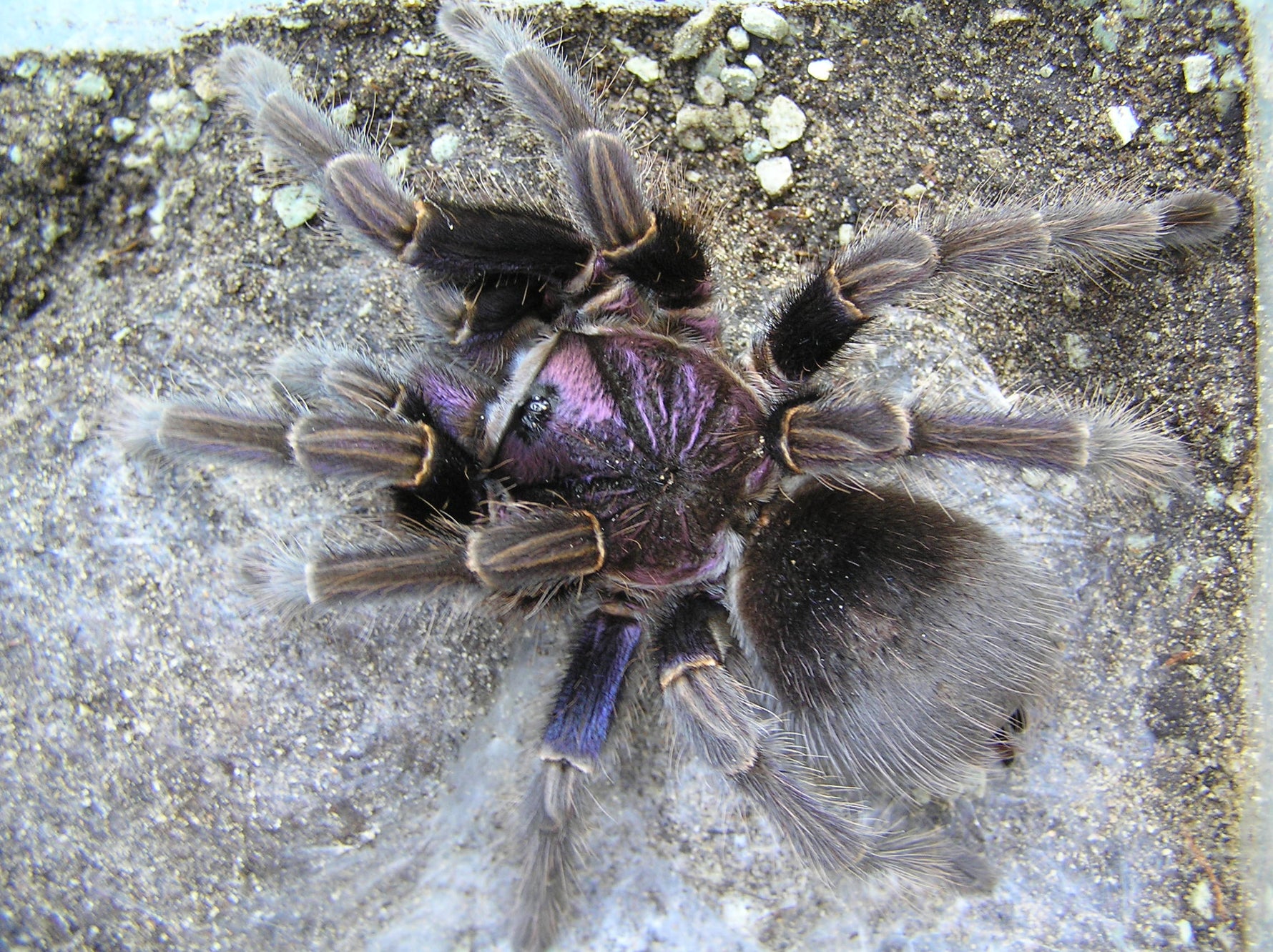 6a9964eb37e18b8ece673e4746353bf2