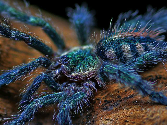 a543c61684675d9bed071b429c558a9b